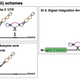 Image for article titled Engineer Your Body Functions with Programmable RNA